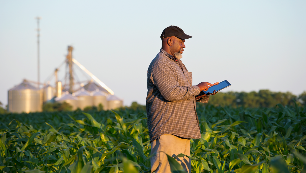 Farmer inspecting tablet device in a corn farm, with a processing plant in the background