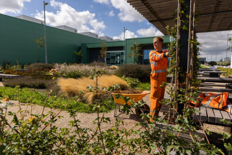A person in orange workwear tends to climbing plants in a lush garden area, with a green building in the background and a wheelbarrow and tools nearby, under a blue sky with clouds.
